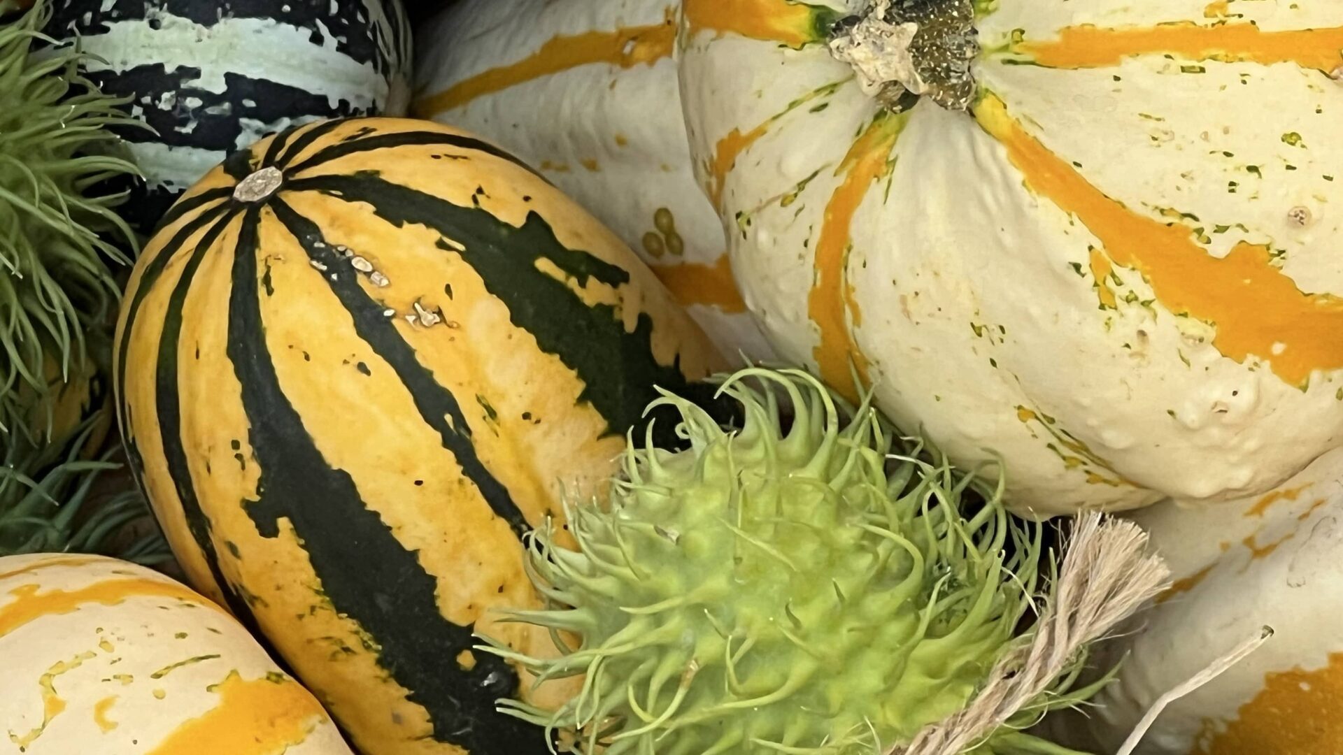 13-sep25_K_1.920x1080px