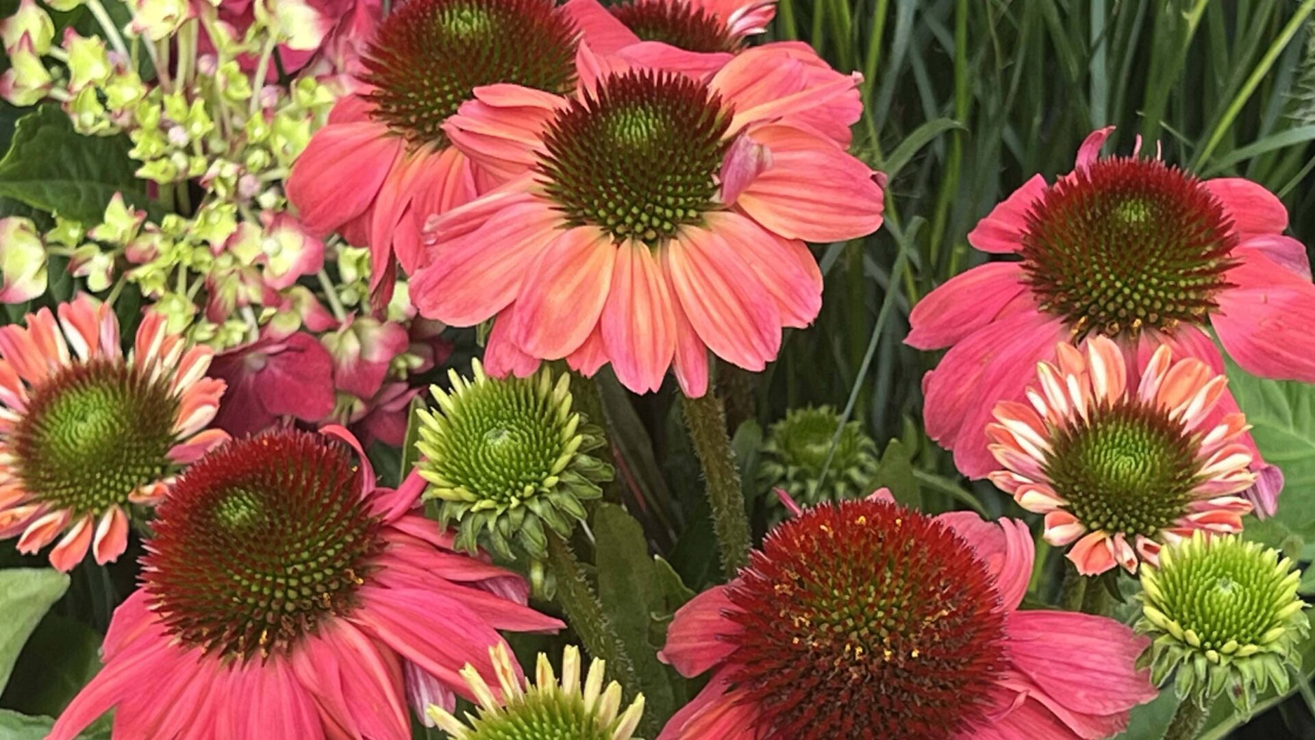 2-sep25_K_1.920x1080px