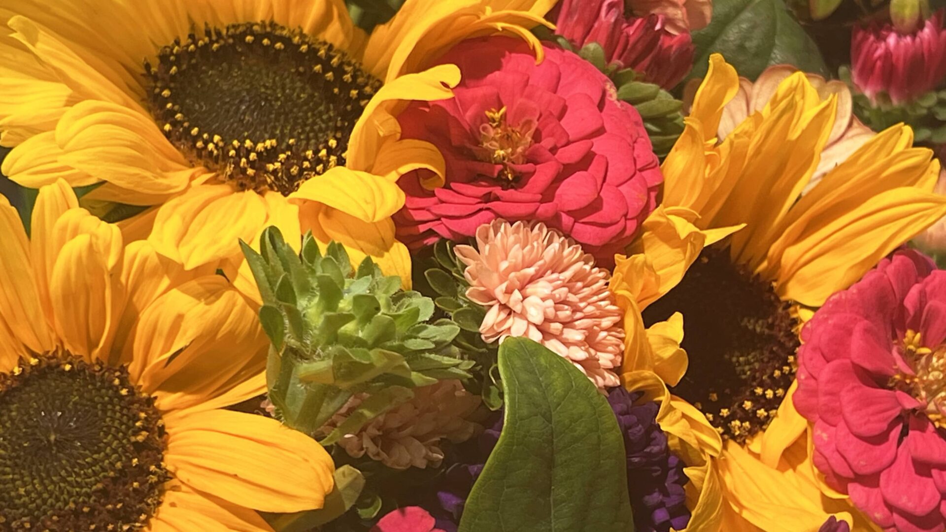 5-sep25_K_1.920x1080px