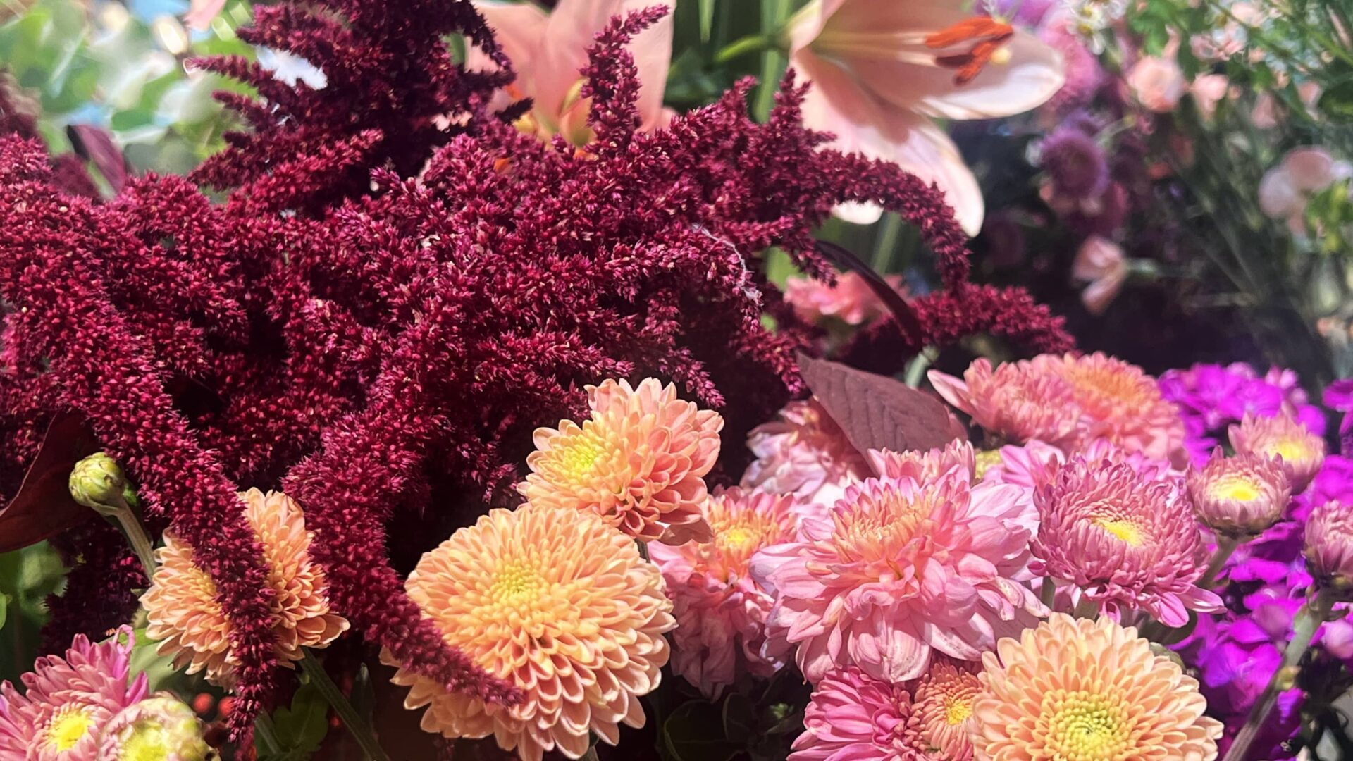 6-sep25_K_1.920x1080px